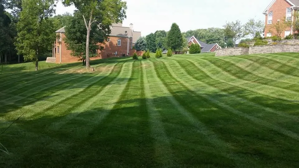 Expert yard maintenance experts serving Bardstown, KY - Gayles Lawn Landscaping