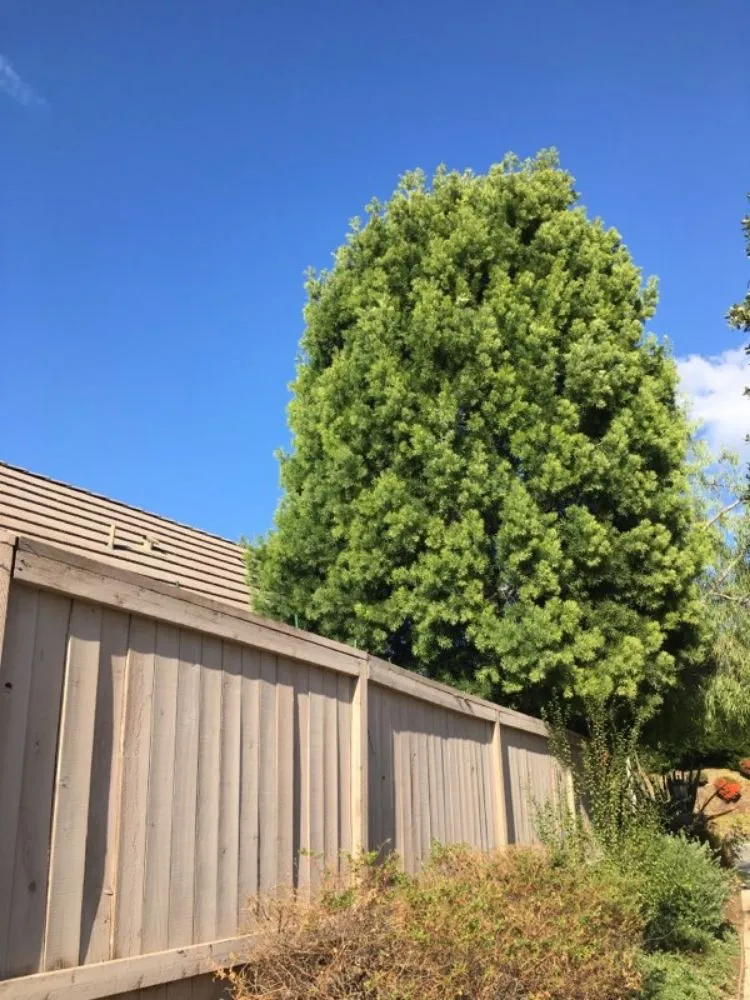 Affordable outdoor landscaping in Eagle Mountain, UT - Gaytans Landscape & Tree services