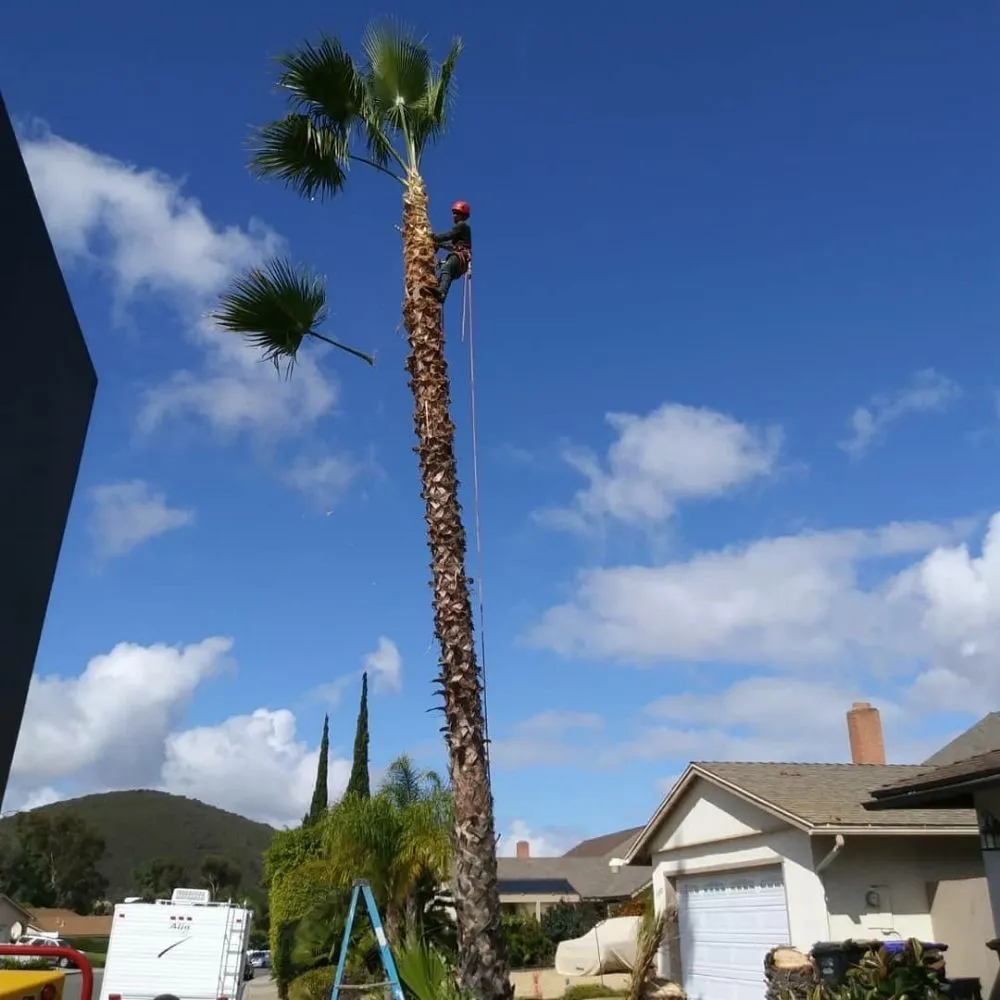 Top-rated lawn mowing service experts serving Mesa, AZ - Gaytan's Landscape and Tree Services