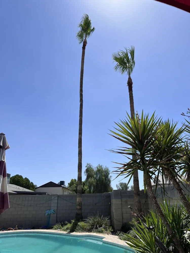 Trusted residential landscaping in Mesa, AZ by Gaytan's Landscape and Tree Services