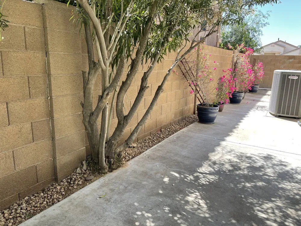 Professional residential landscaping in Mesa, AZ by Gaytan's Landscape and Tree Services