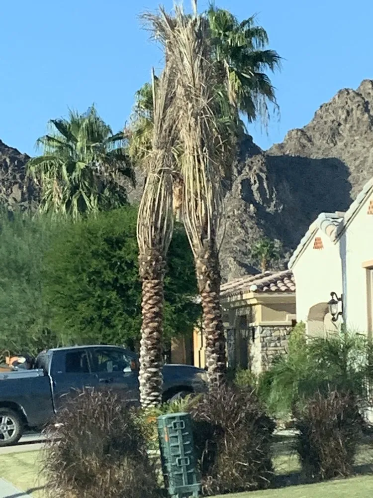 Affordable yard maintenance experts serving Coachella, CA - Gazca’s Gardening