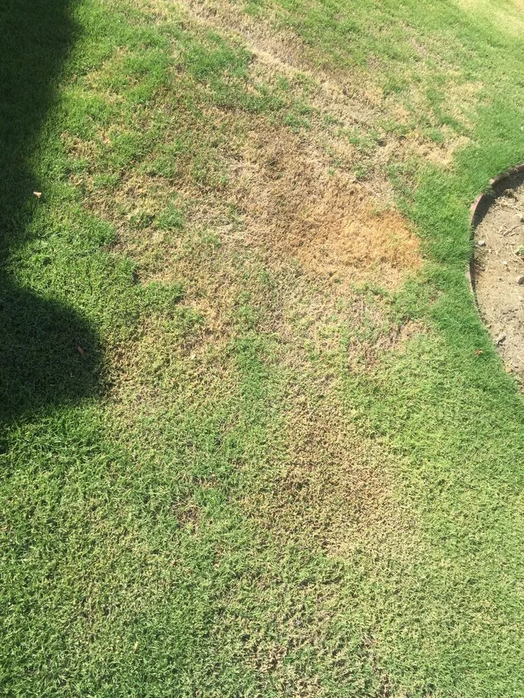 Reliable residential landscaping for residential properties in Coachella, CA by Gazca’s Gardening