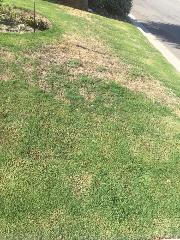 Affordable outdoor landscaping near you in Coachella, CA by Gazca’s Gardening