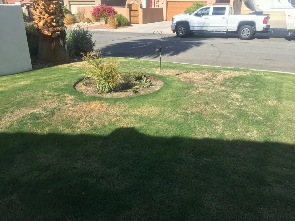 Professional landscaping services experts serving Coachella, CA - Gazca’s Gardening