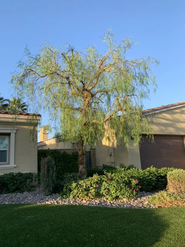 Reliable landscape design near you across Coachella, CA - Gazca’s Gardening