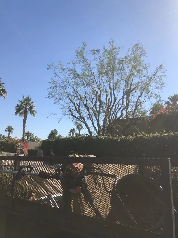 Expert landscape design for residential properties in Coachella, CA by Gazca’s Gardening