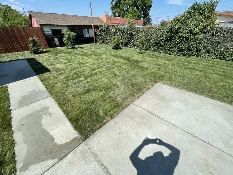 Custom lawn care service for beautiful yards in Riverside, CA by GB Gardening and Landscaping