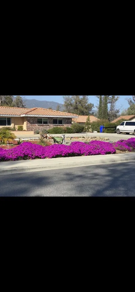 Expert yard cleanup service experts serving Riverside, CA - GB Gardening and Landscaping