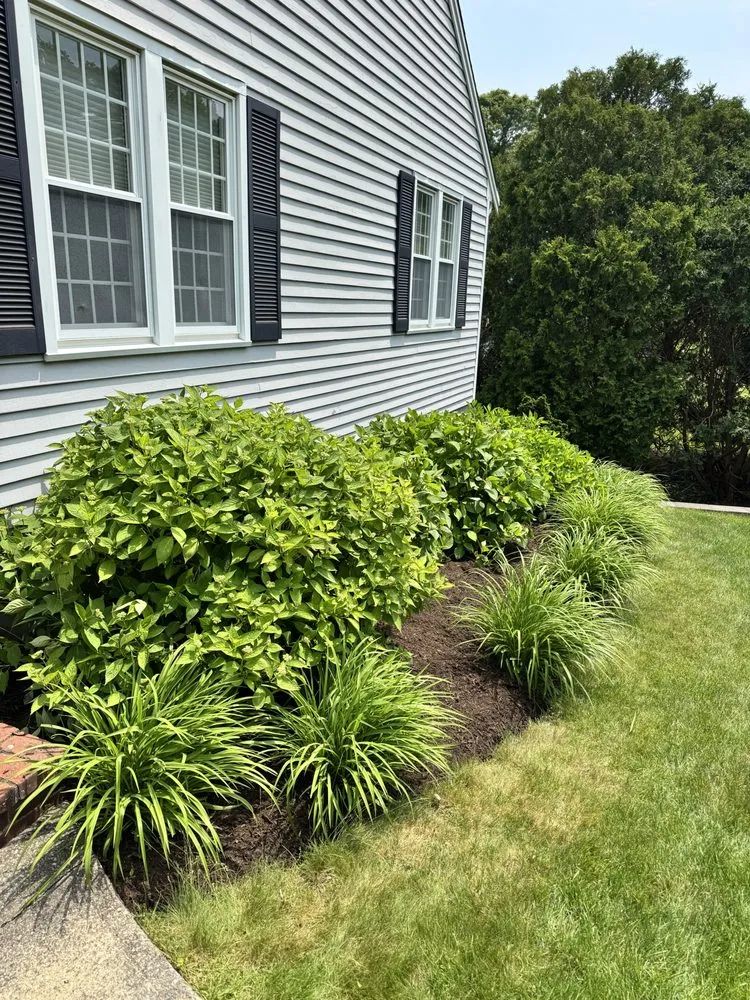Professional yard maintenance in Dennis, MA - GB Landscape