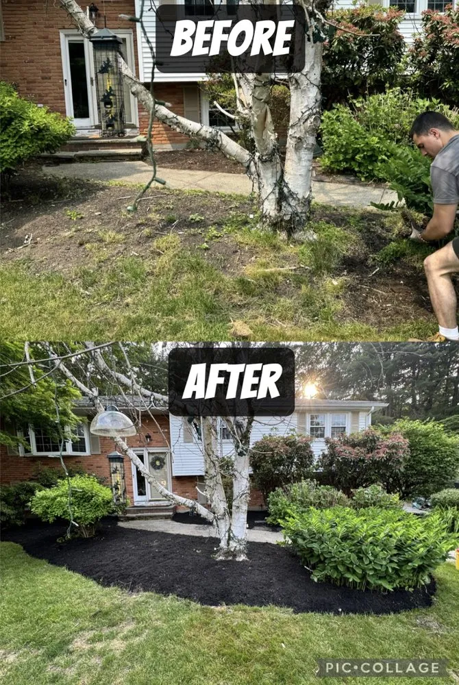 Local lawn mowing service for residential properties across Dennis, MA - GB Landscape