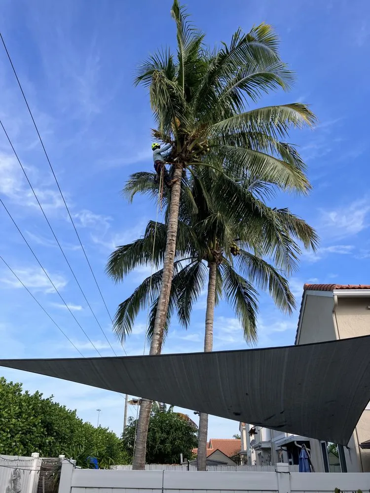 Reliable landscape design experts serving Lake Worth Beach, FL - G&B Landscaping and Tree Services