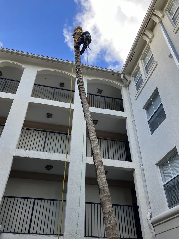 Custom landscaping services near you across Lake Worth Beach, FL - G&B Landscaping and Tree Services