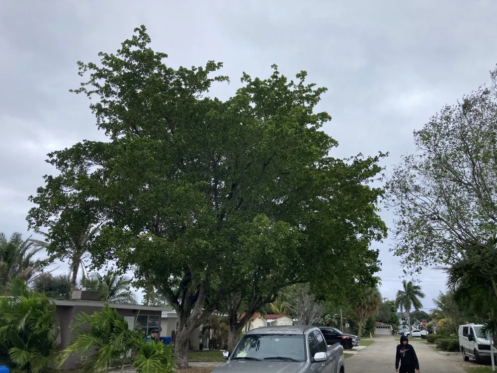 Affordable lawn mowing service with custom design across Lake Worth Beach, FL - G&B Landscaping and Tree Services