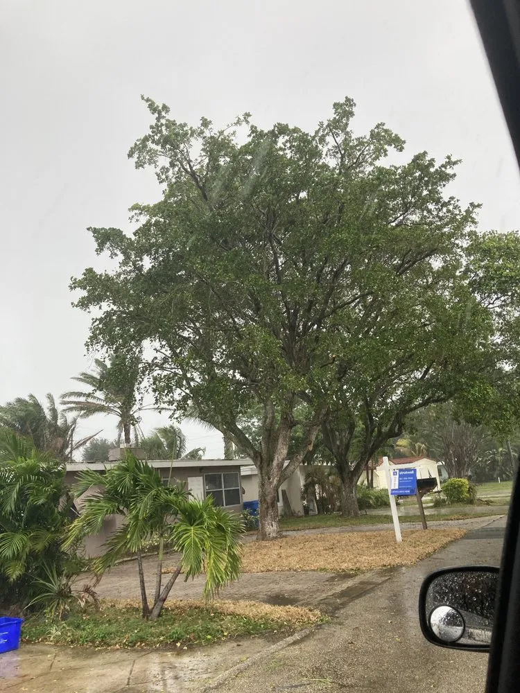 Custom outdoor landscaping for residential properties in Lake Worth Beach, FL by G&B Landscaping and Tree Services