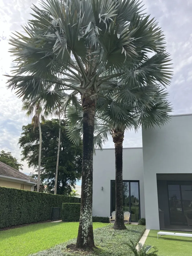 Expert landscaping services in Lake Worth Beach, FL by G&B Landscaping and Tree Services