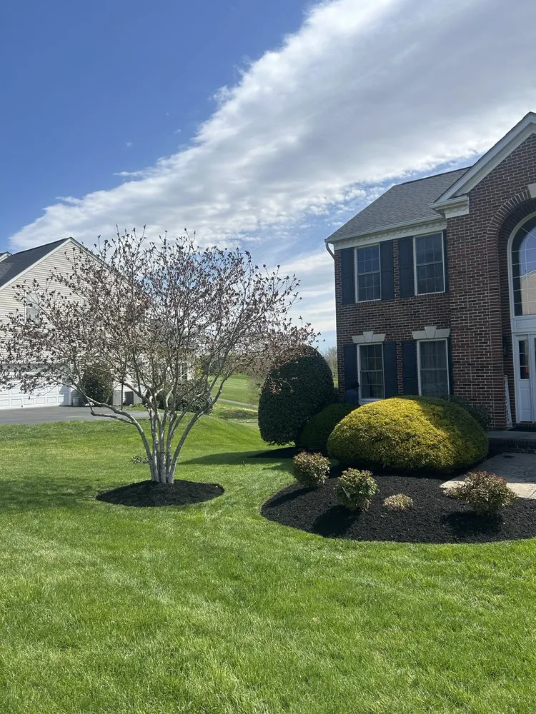 Trusted yard cleanup service in Germantown, MD by G&B Landscaping