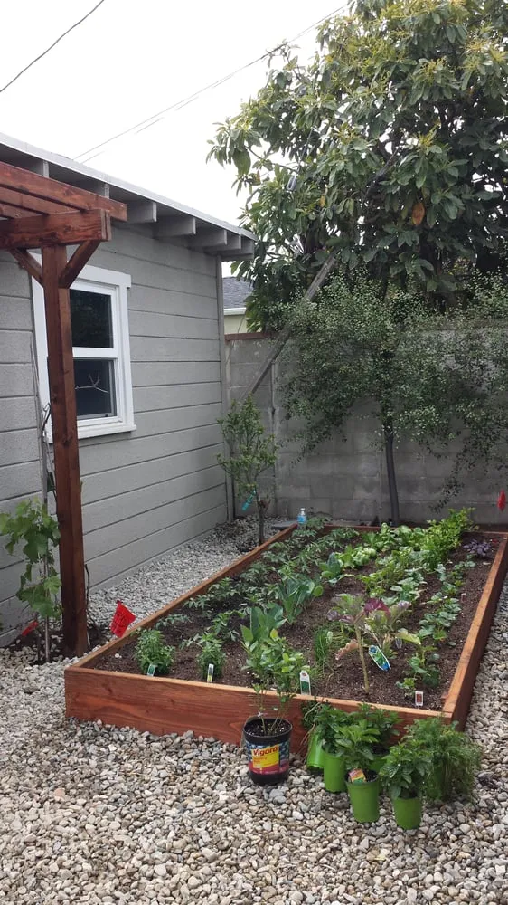 Top-rated landscape installation for year-round maintenance across Los Angeles, CA - GB Landscaping