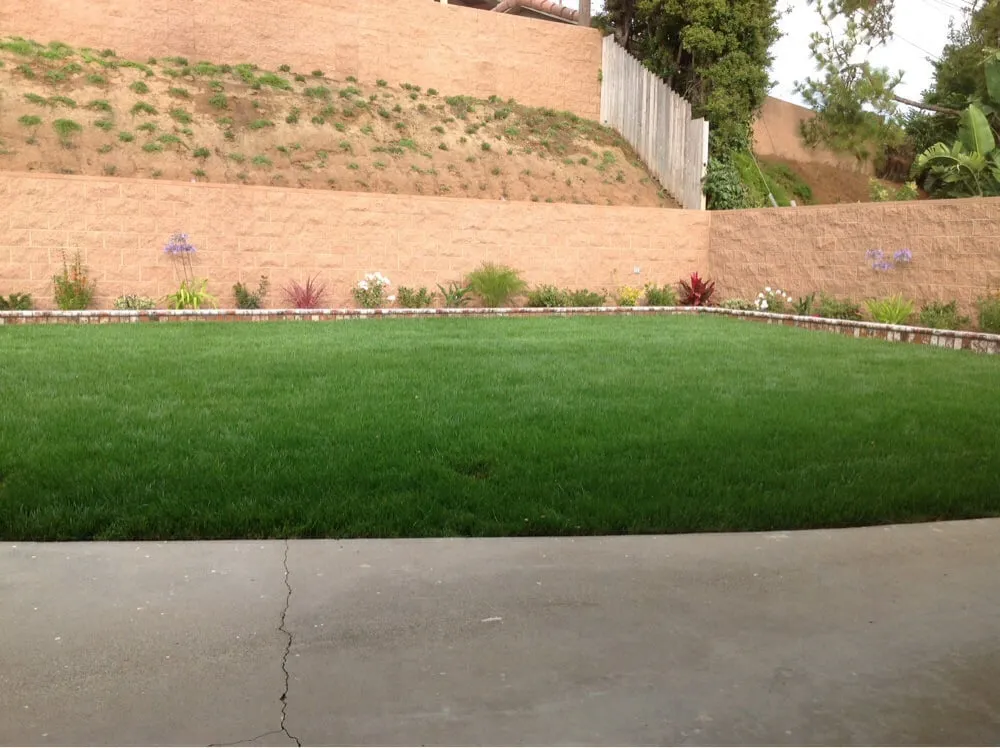 Expert landscape design in Los Angeles, CA by GB Landscaping