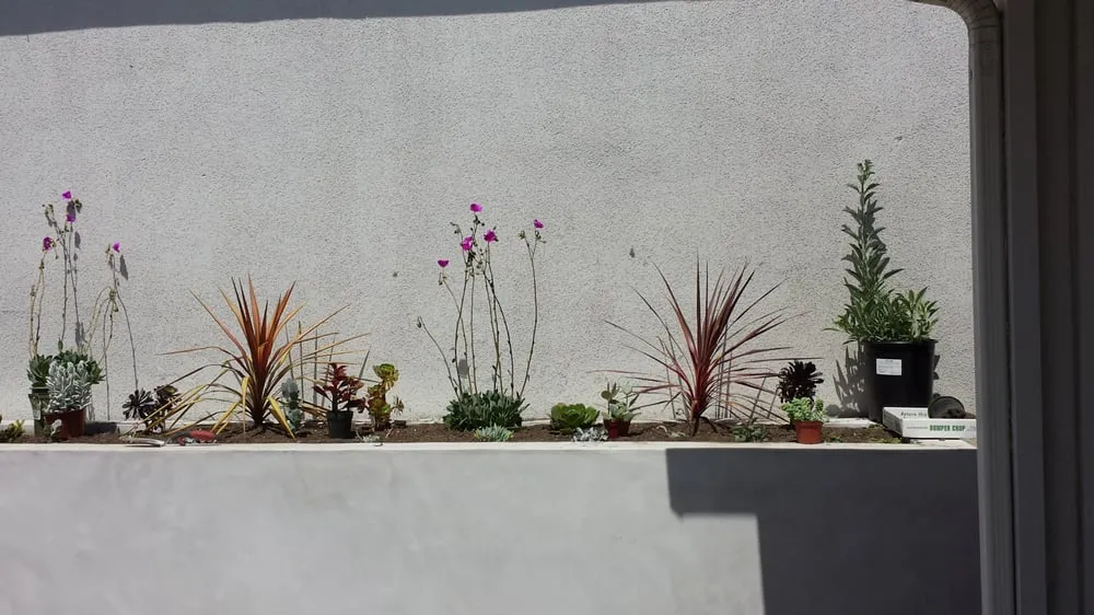 Trusted garden landscaping for residential properties in Los Angeles, CA by GB Landscaping