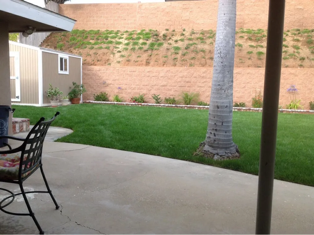 Affordable residential landscaping for homes in Los Angeles, CA by GB Landscaping