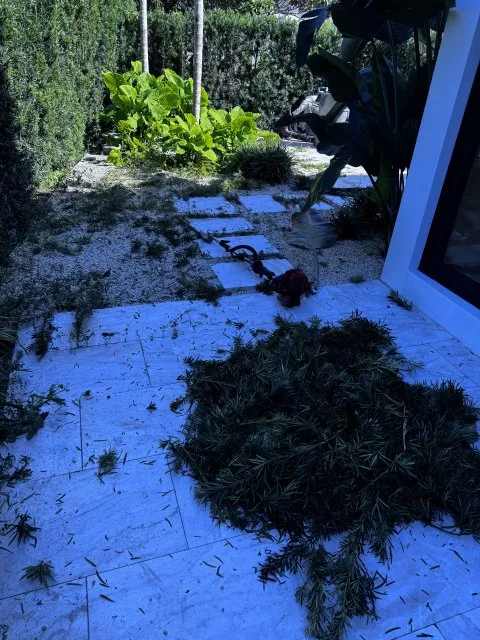 Professional landscape design with custom design across Miami Gardens, FL - GB Landscaping