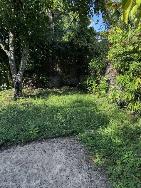 Expert lawn care service in Miami Gardens, FL - GB Landscaping