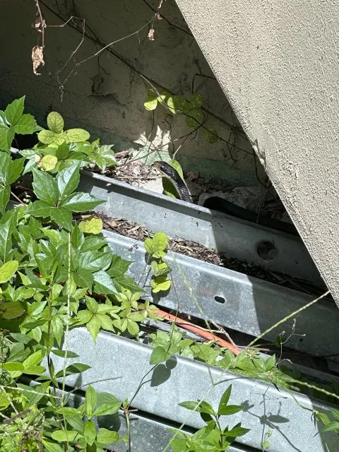 Custom yard maintenance near you in Miami Gardens, FL by GB Landscaping