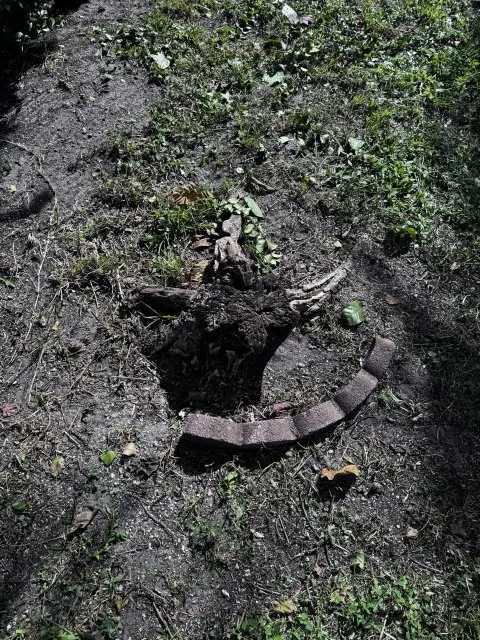 Affordable residential landscaping in Miami Gardens, FL by GB Landscaping