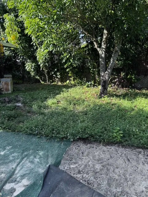 Top-rated landscape design in Miami Gardens, FL by GB Landscaping