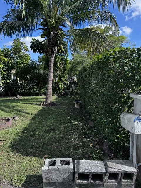 Custom lawn mowing service in Miami Gardens, FL - GB Landscaping