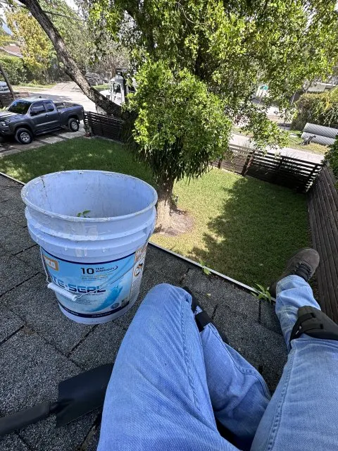 Professional residential landscaping for beautiful yards across Miami Gardens, FL - GB Landscaping