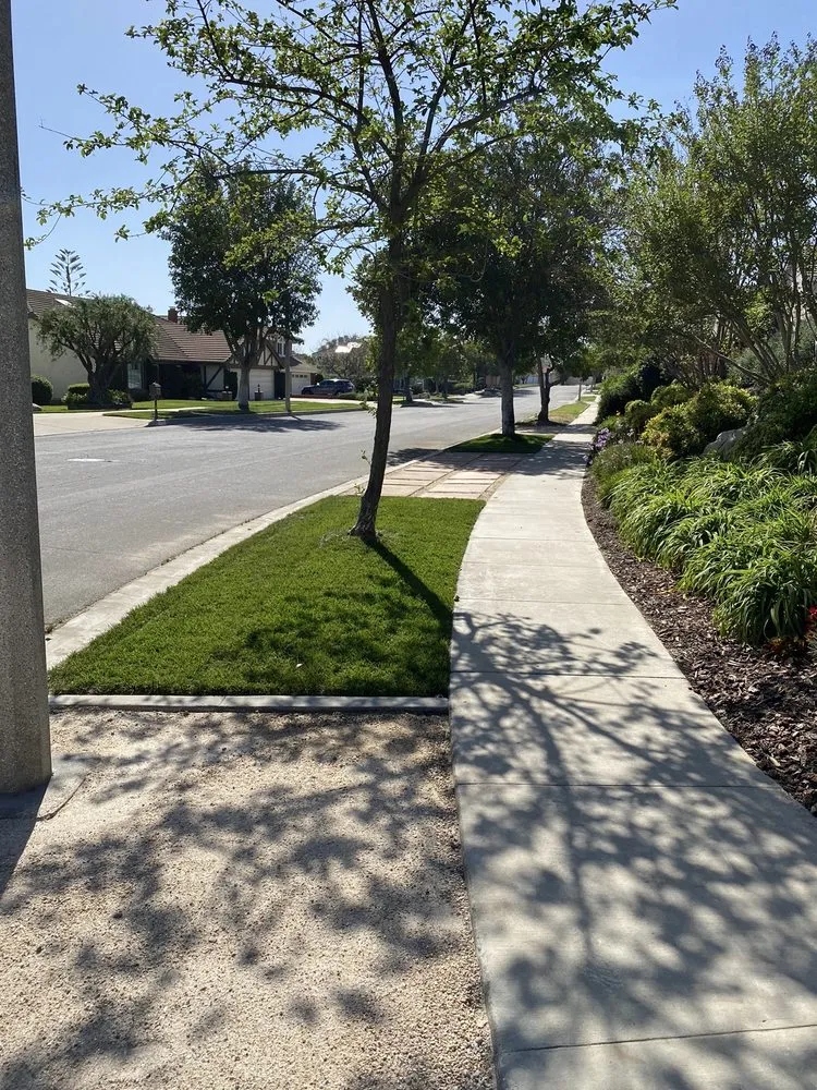 Reliable lawn care service for homes in Ontario, CA by GB Landscaping Services