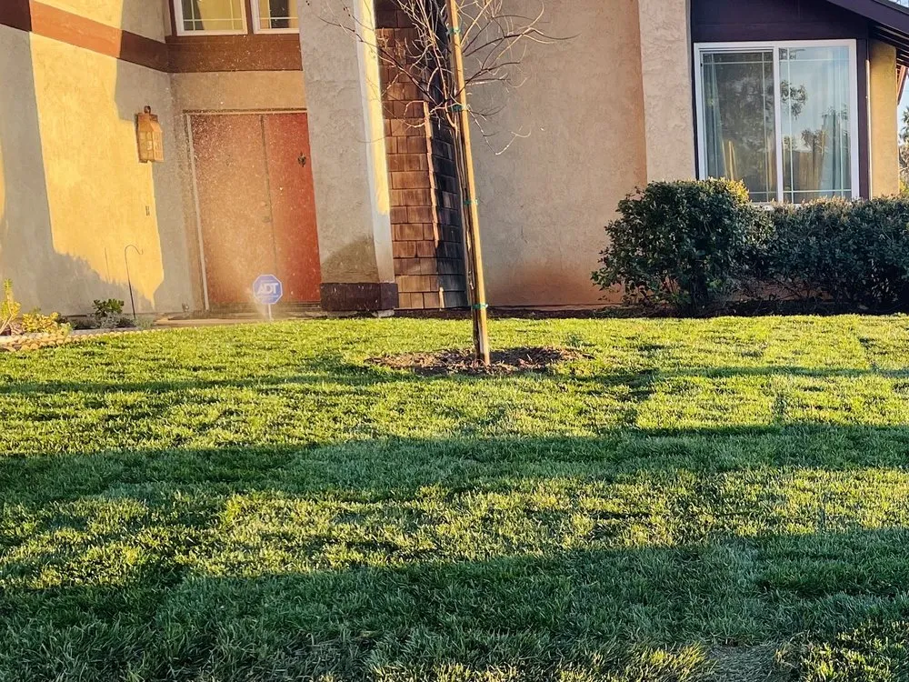 Trusted landscape installation for year-round maintenance across Ontario, CA - GB Landscaping Services