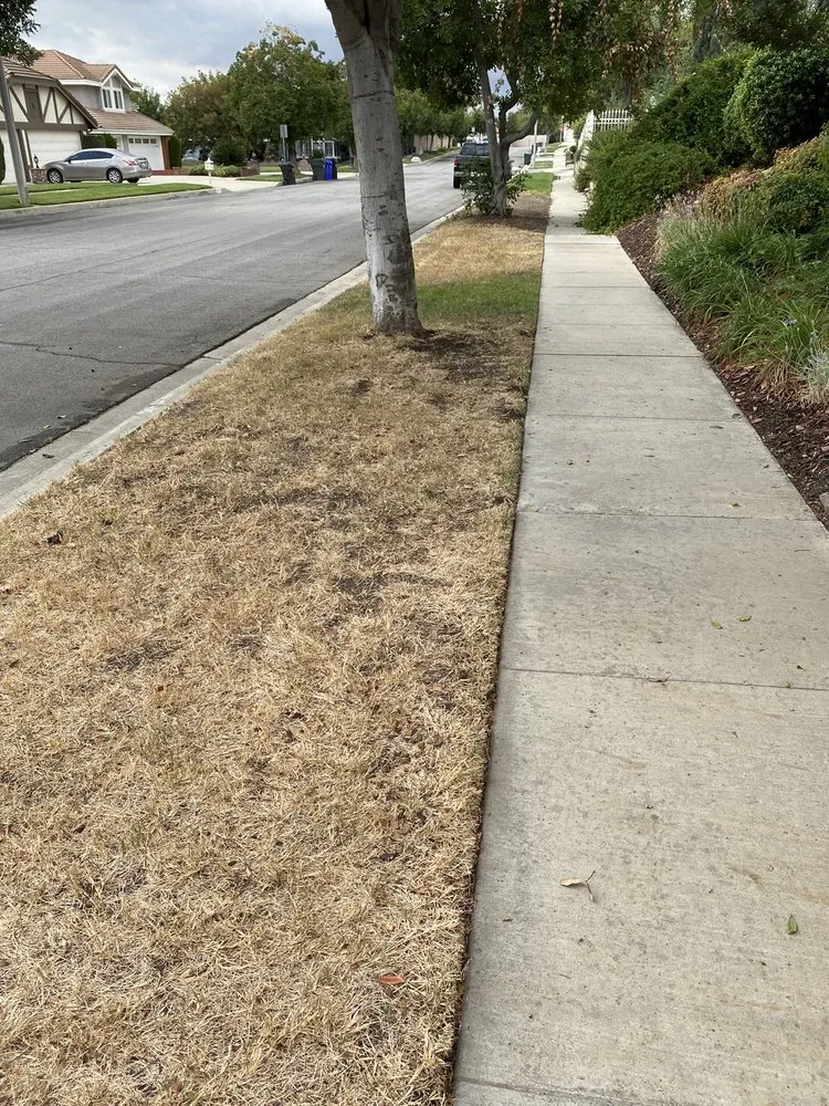 Local residential landscaping experts serving Ontario, CA - GB Landscaping Services