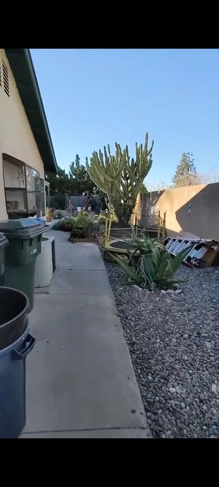 Custom yard maintenance in Ontario, CA by GB Landscaping Services