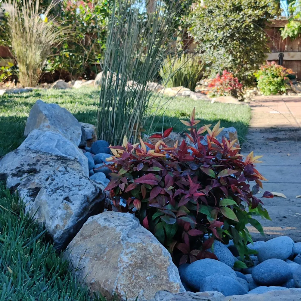 Reliable yard cleanup service for homes across Ontario, CA - GB Landscaping Services