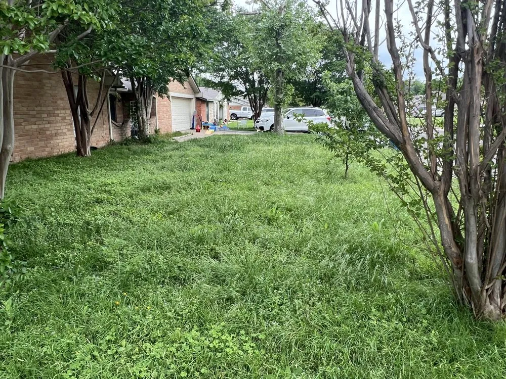 Reliable lawn mowing service for year-round maintenance in Hewitt, TX by G&B Lawn Care & Landscaping