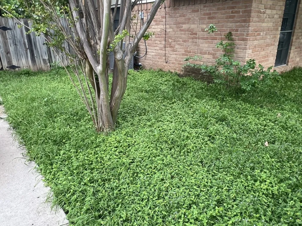 Custom lawn care service for outdoor upgrades in Hewitt, TX by G&B Lawn Care & Landscaping