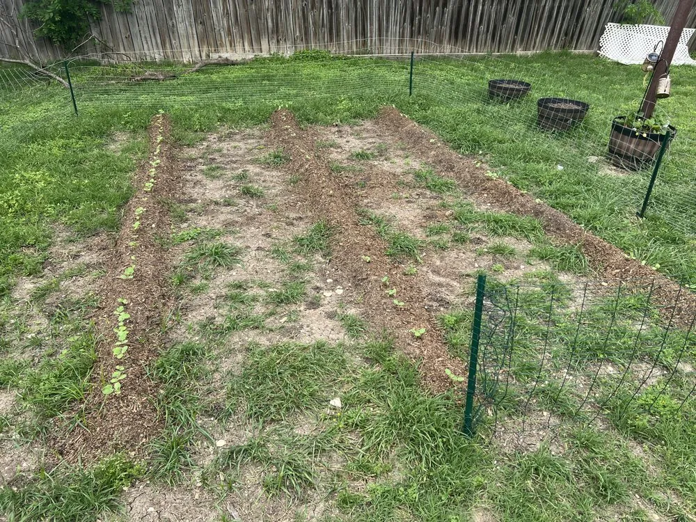 Top-rated lawn mowing service near you across Hewitt, TX - G&B Lawn Care & Landscaping