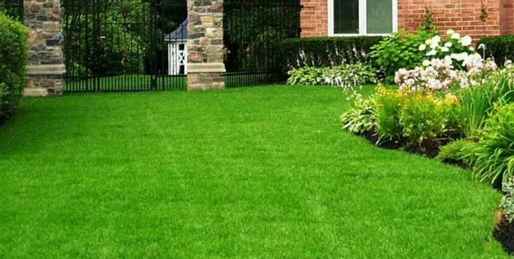 Trusted yard cleanup service experts serving Lake Stevens, WA - GB Lawn Care