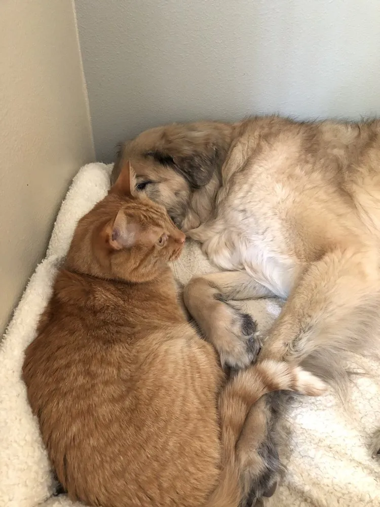 Reliable garden landscaping in Lake Stevens, WA - GB Lawn Care