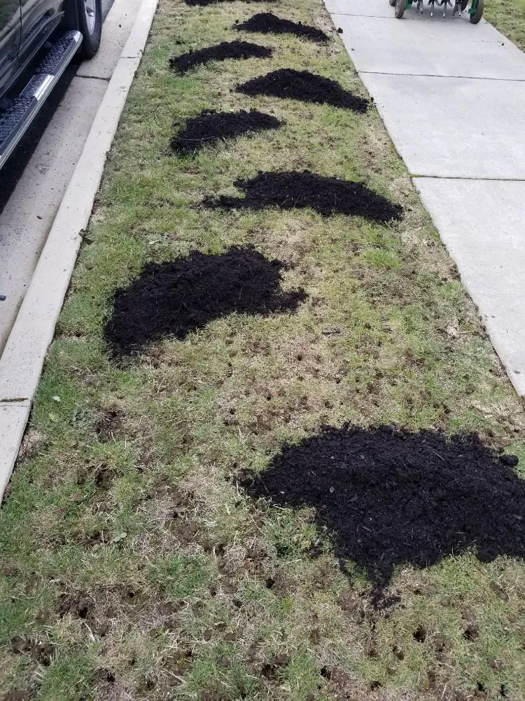 Professional landscaping services experts serving Lake Stevens, WA - GB Lawn Care