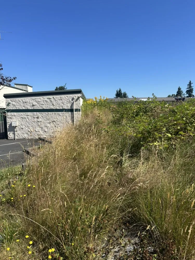 Custom landscape design in Lake Stevens, WA - GB Lawn Care