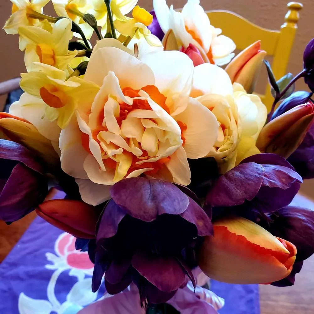 Expert lawn care service near you in Lake Stevens, WA by GB Lawn Care