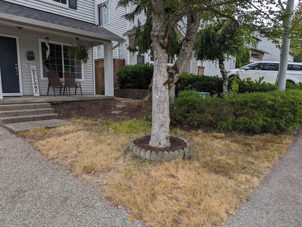 Reliable yard cleanup service near you in Lake Stevens, WA by GB Lawn Care
