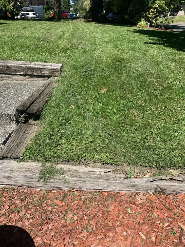 Expert yard cleanup service for year-round maintenance across Lake Stevens, WA - GB Lawn Care