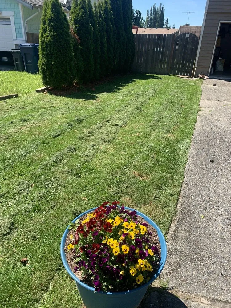 Expert yard maintenance for residential properties across Lake Stevens, WA - GB Lawn Care