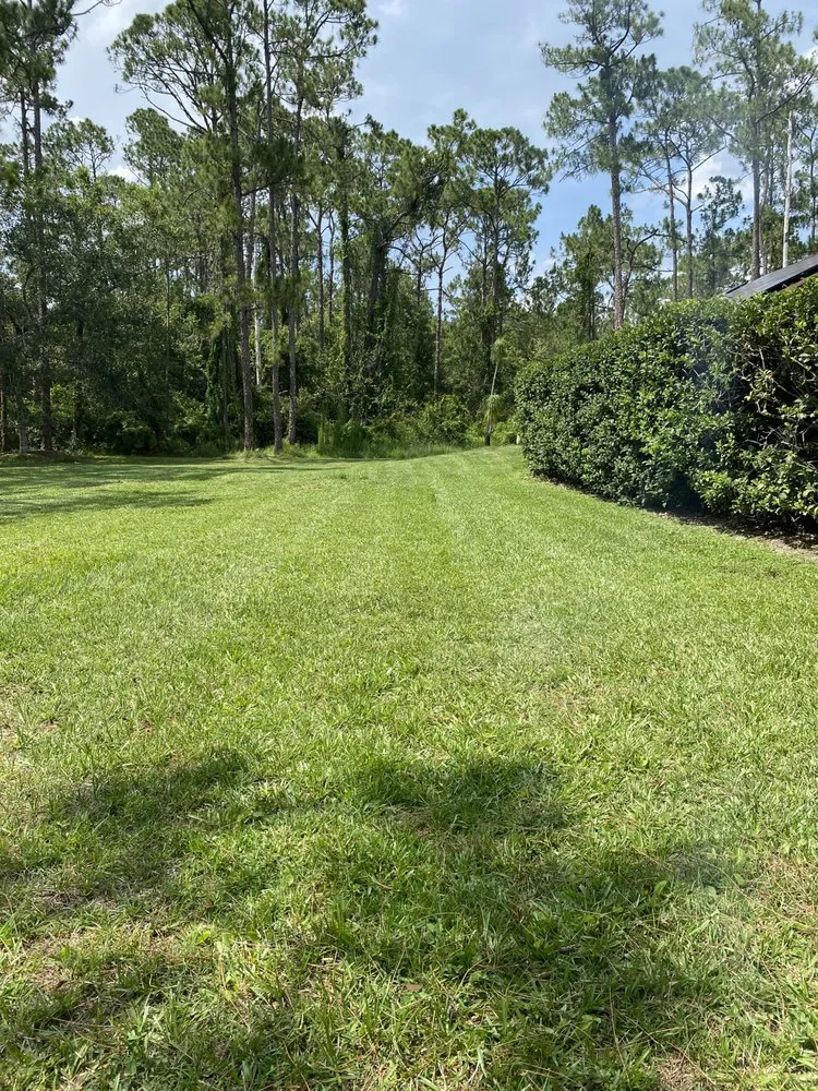 Affordable lawn care service for outdoor upgrades across Sebring, FL - G&B Lawn Care