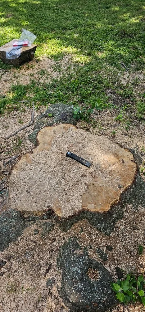 Top-rated yard maintenance for year-round maintenance across Chesapeake, VA - GB Lawn Service